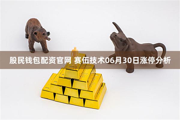 股民钱包配资官网 赛伍技术06月30日涨停分析