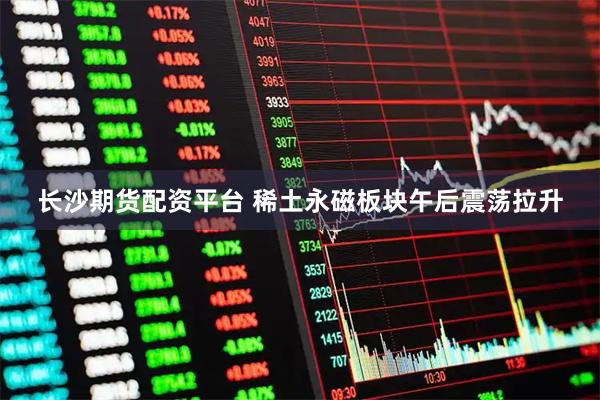 长沙期货配资平台 稀土永磁板块午后震荡拉升
