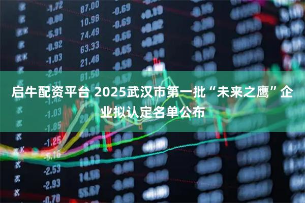 启牛配资平台 2025武汉市第一批“未来之鹰”企业拟认定名单公布